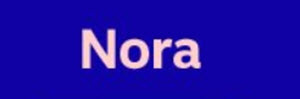 Nordea nora fondrobot